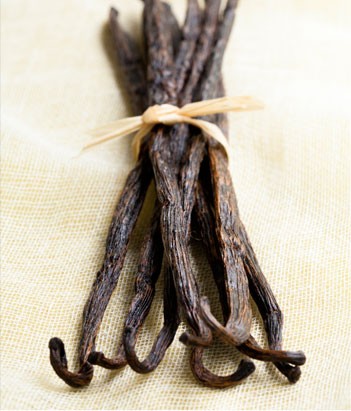 candora Eau de parfum Vanille de la collection Candora Paris