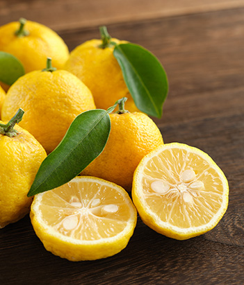 candora Eau de Parfum Yuzu de la collection Candora Paris