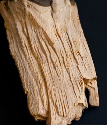 candora Eau de toilette Cèdre de la collection Candora Paris