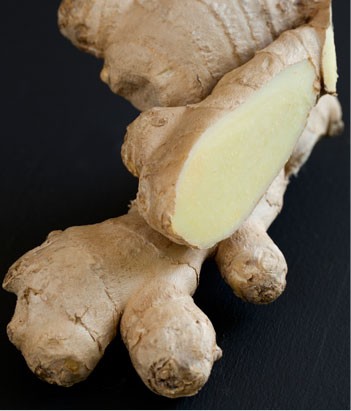 candora Eau de toilette Gingembre de la collection Candora Paris