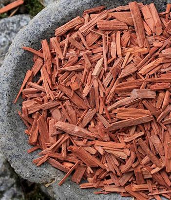 candora Eau de toilette Santal de la collection Candora Paris