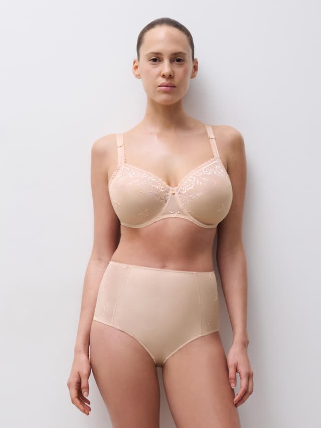 Chantelle Culotte Taille Haute - Beige Doré - Every Curve