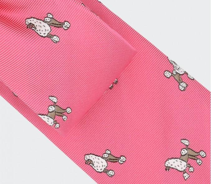 Cinabre Cravate Caniche