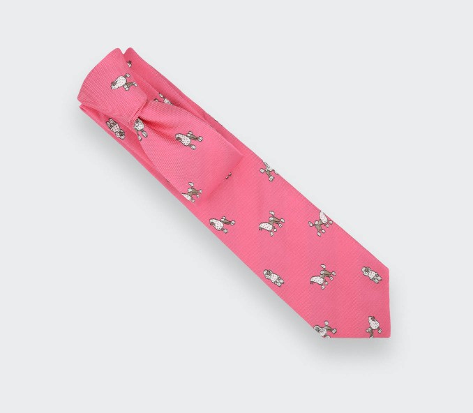 Cinabre Cravate Caniche