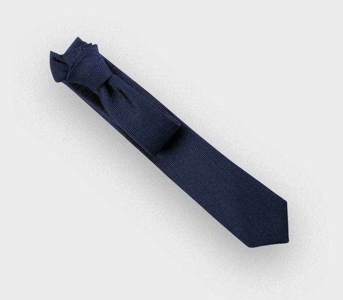 cinabre Cravate Lézard Bleu Marine