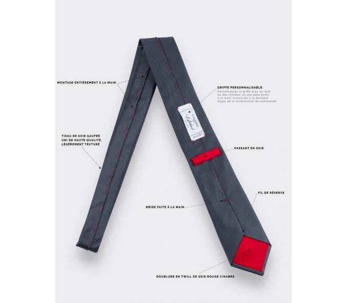 Cinabre Cravate Lézard Gris