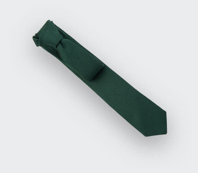 cinabre Cravate Lézard Vert