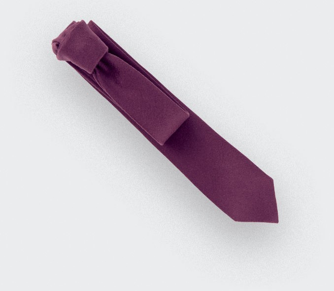 Cinabre Cravate Peau Violet