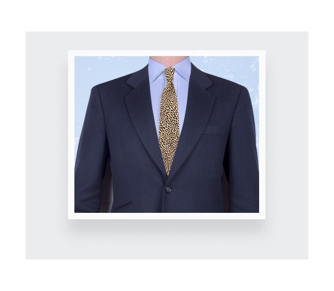 Cinabre Cravate Plumettes Marron Crème