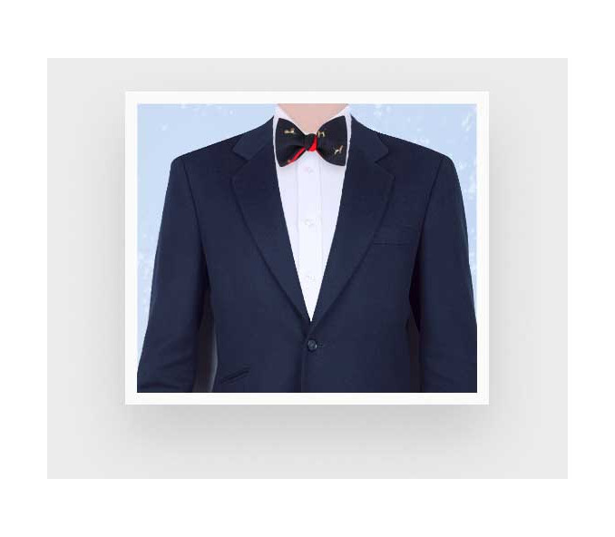 Cinabre Noeud Papillon Beagle