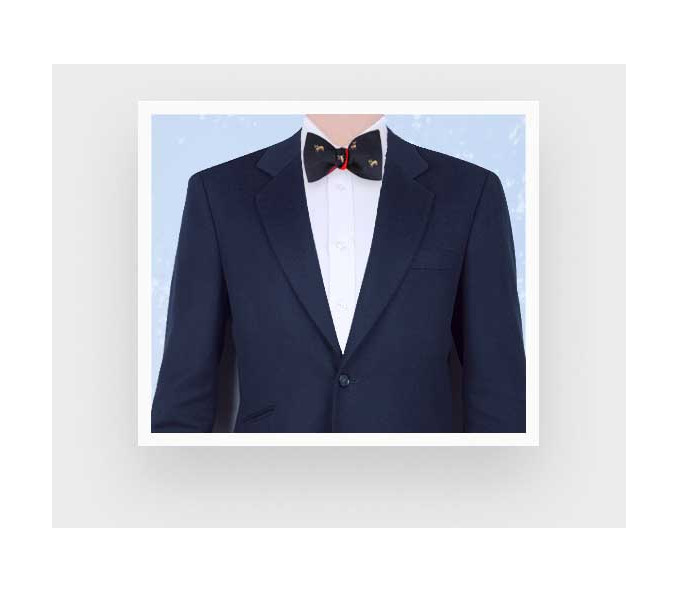 Cinabre Noeud Papillon Bouledogue