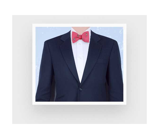 Cinabre Noeud Papillon Caniche