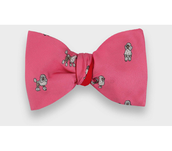 Cinabre Noeud Papillon Caniche