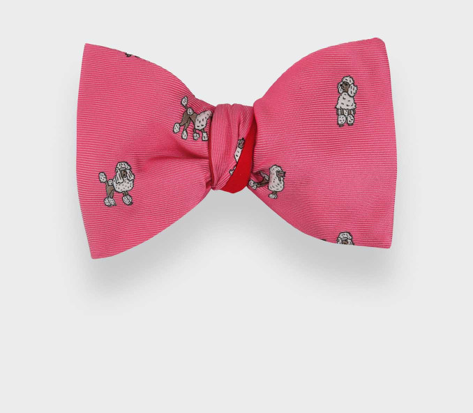 cinabre Noeud Papillon Caniche