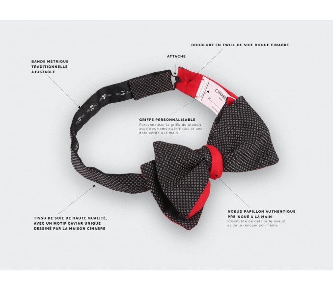 Cinabre Noeud Papillon Caviar Soie Gris