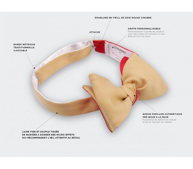 Cinabre Noeud Papillon Chevron Jaune