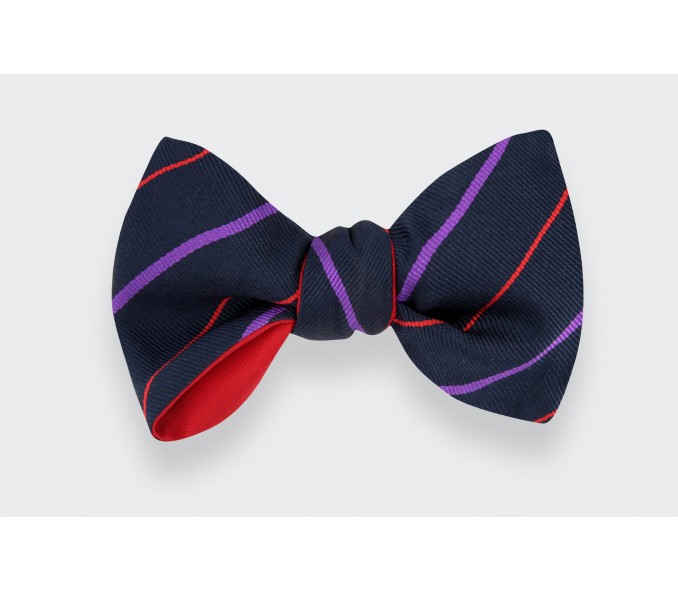 Cinabre Noeud Papillon Club Marine Et Violet