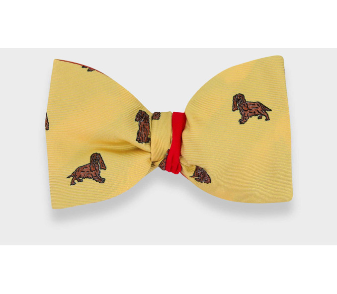 Cinabre Noeud Papillon Cocker