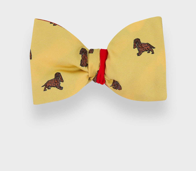 cinabre Noeud Papillon Cocker