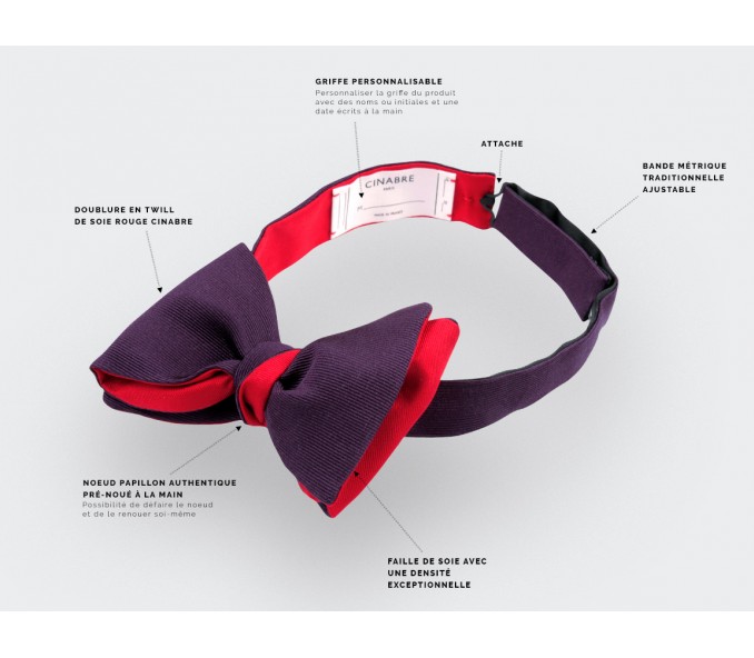 Cinabre Noeud Papillon Faille Violet