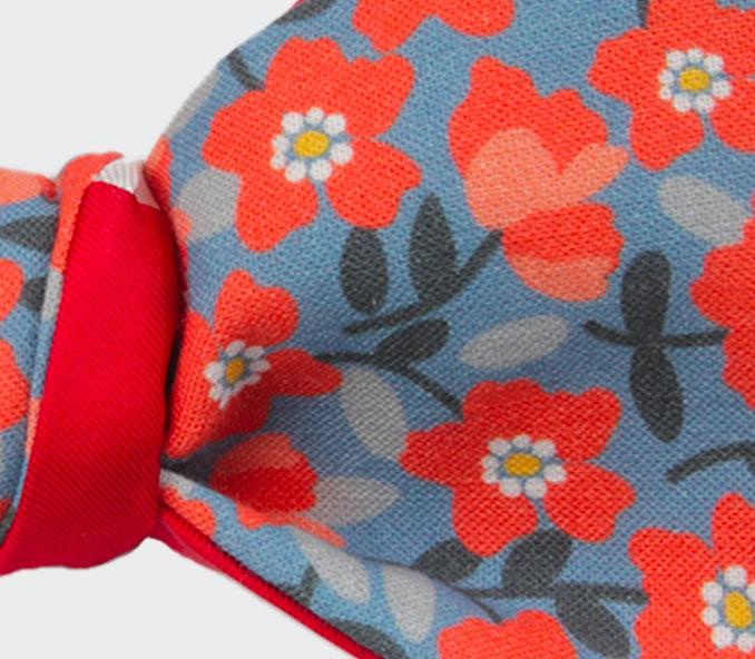 Cinabre Noeud Papillon Fleuri Orange Et Bleu