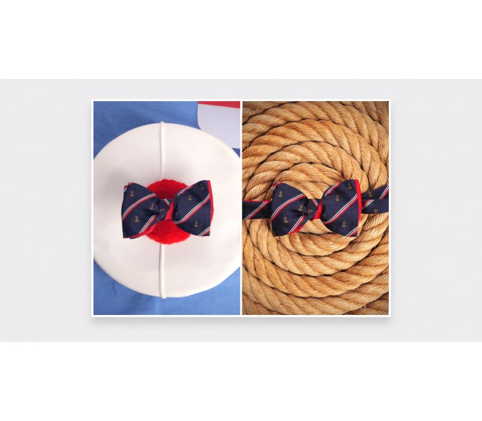 Cinabre Noeud Papillon "Marine Nationale"