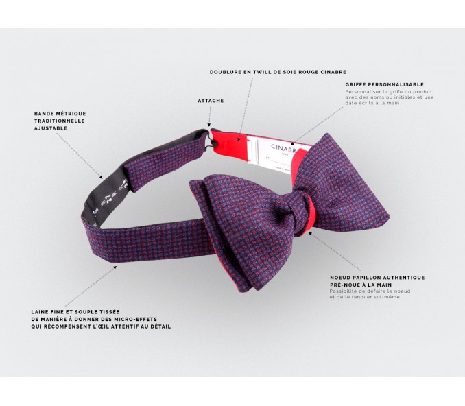 Cinabre Noeud Papillon Météorite Violet