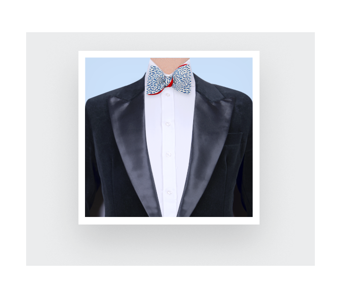 Cinabre Noeud Papillon Plumettes Bleu