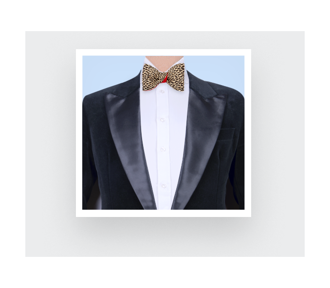 Cinabre Noeud Papillon Plumettes Marron Crème