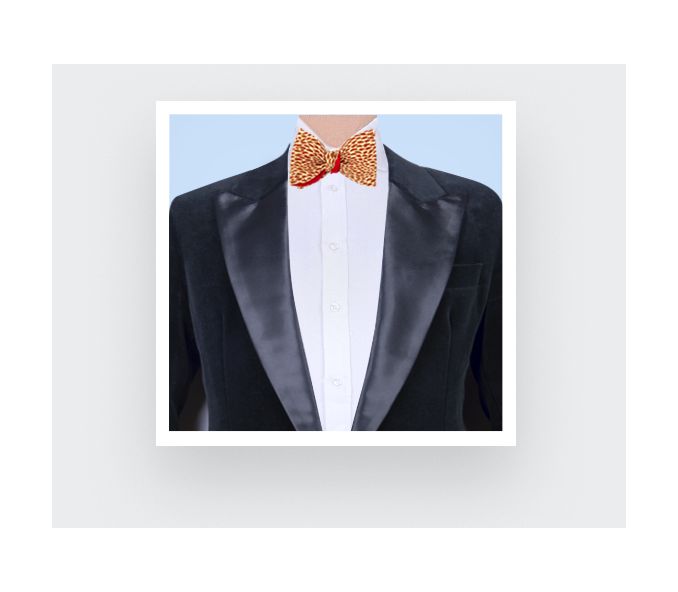 Cinabre Noeud Papillon Plumettes Orange