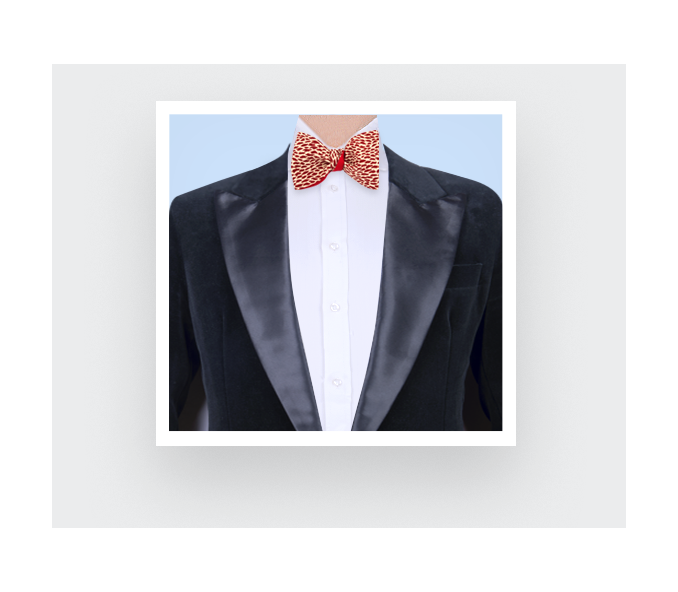 Cinabre Noeud Papillon Plumettes Rouge