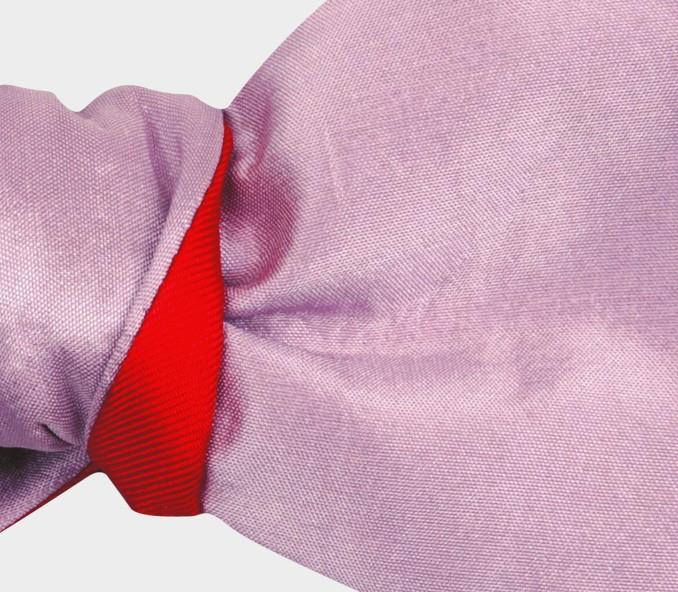 Cinabre Noeud Papillon Soie Violet