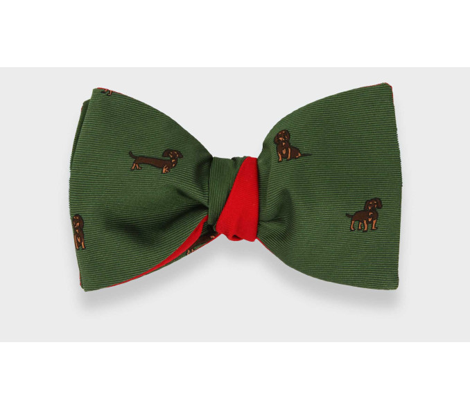 Cinabre Noeud Papillon Teckel