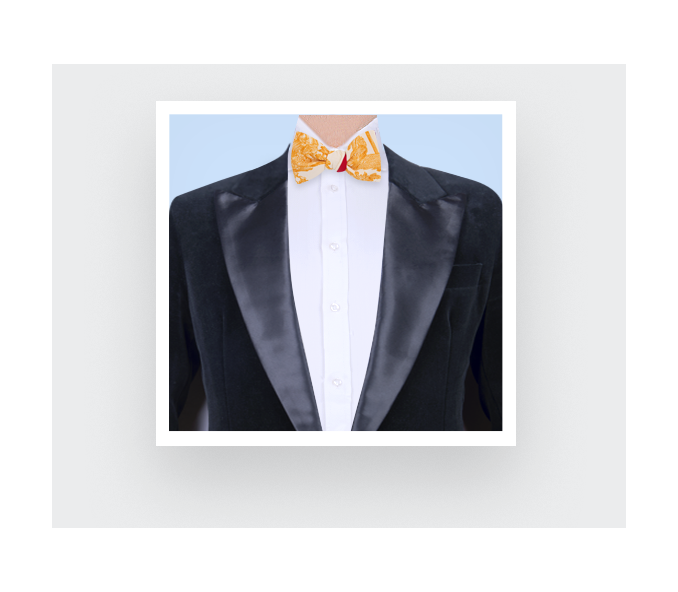 Cinabre Noeud Papillon Toile De Jouy Jaune