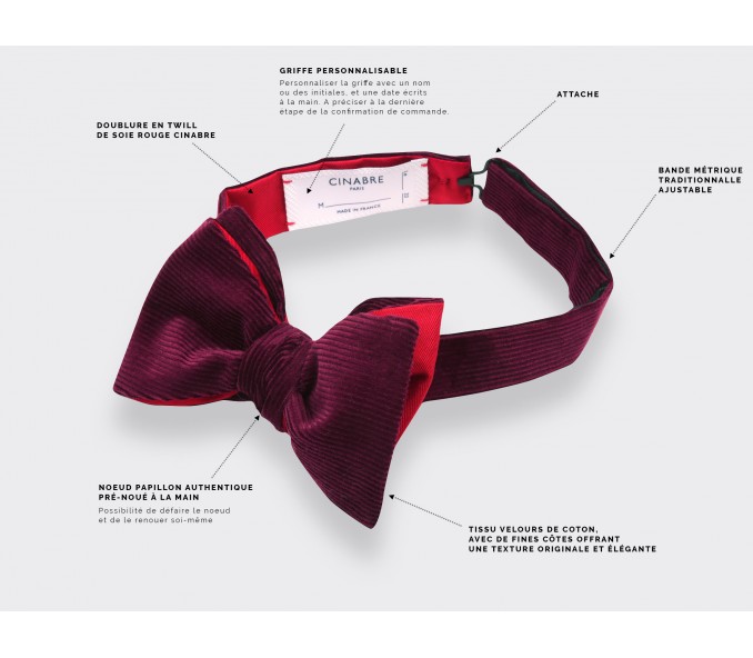 Cinabre Noeud Papillon Velours Prune