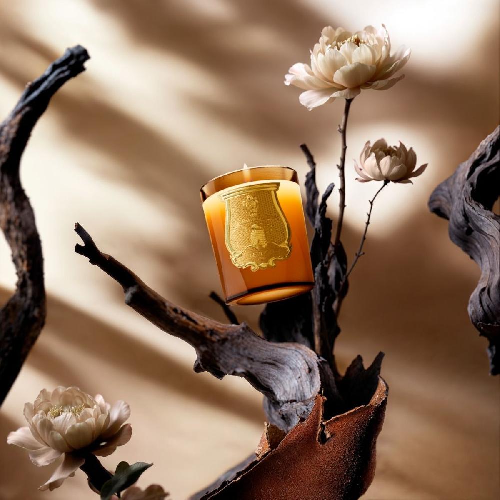 Cire Trudon Altaïr