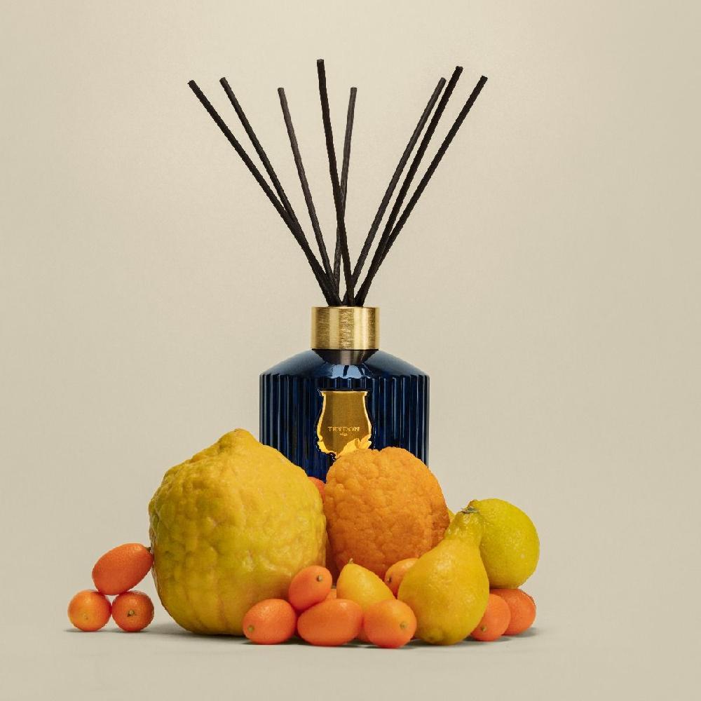 Cire Trudon Le DiffuseurReggio