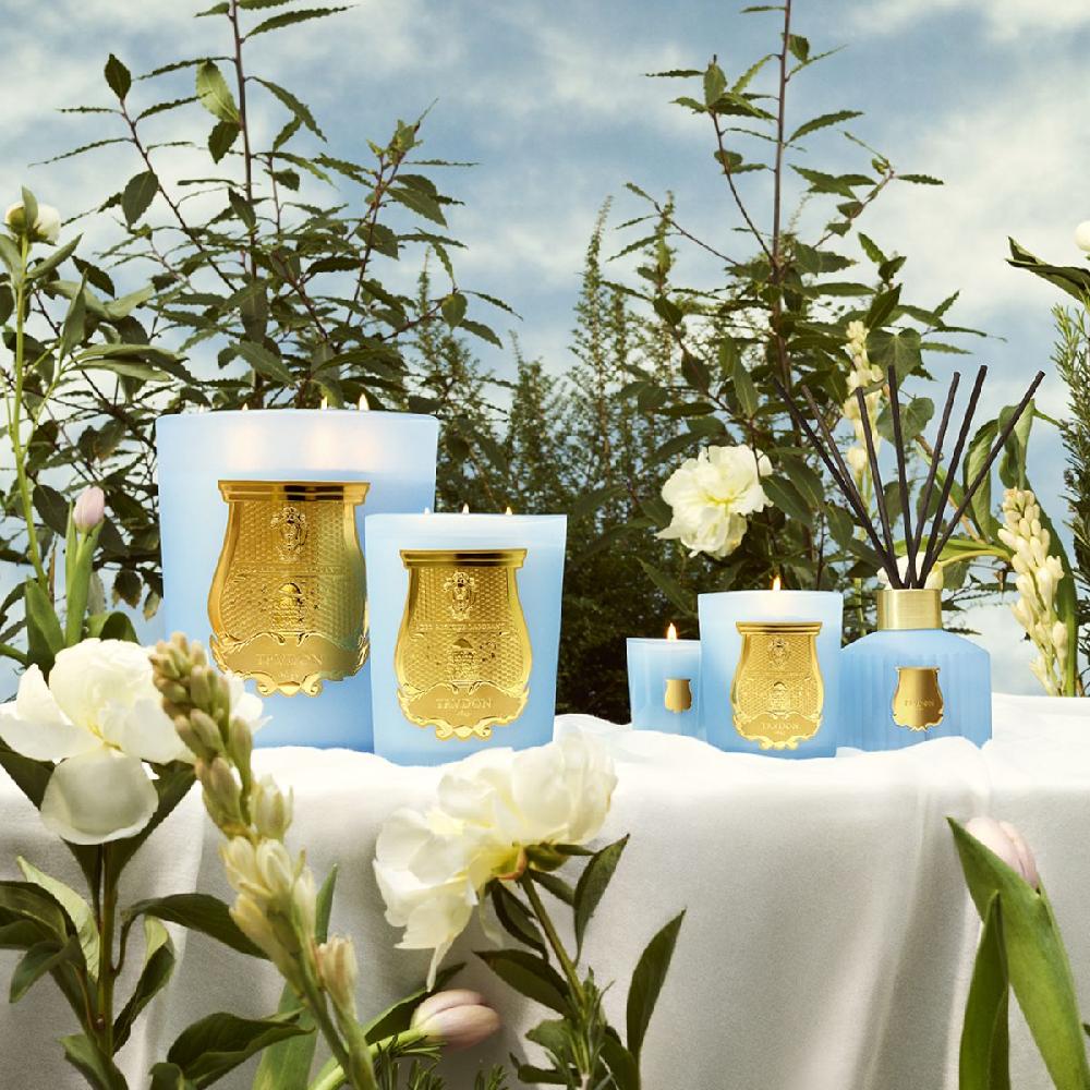Cire Trudon Le DiffuseurVersailles
