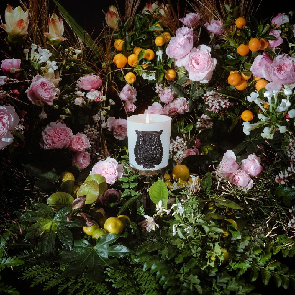 cire trudon Rose Poivrée