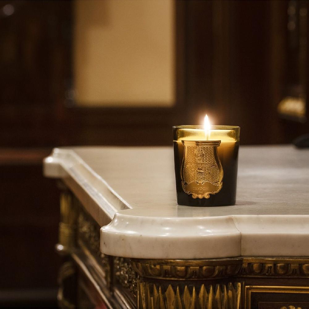 Cire Trudon Spiritus Sancti