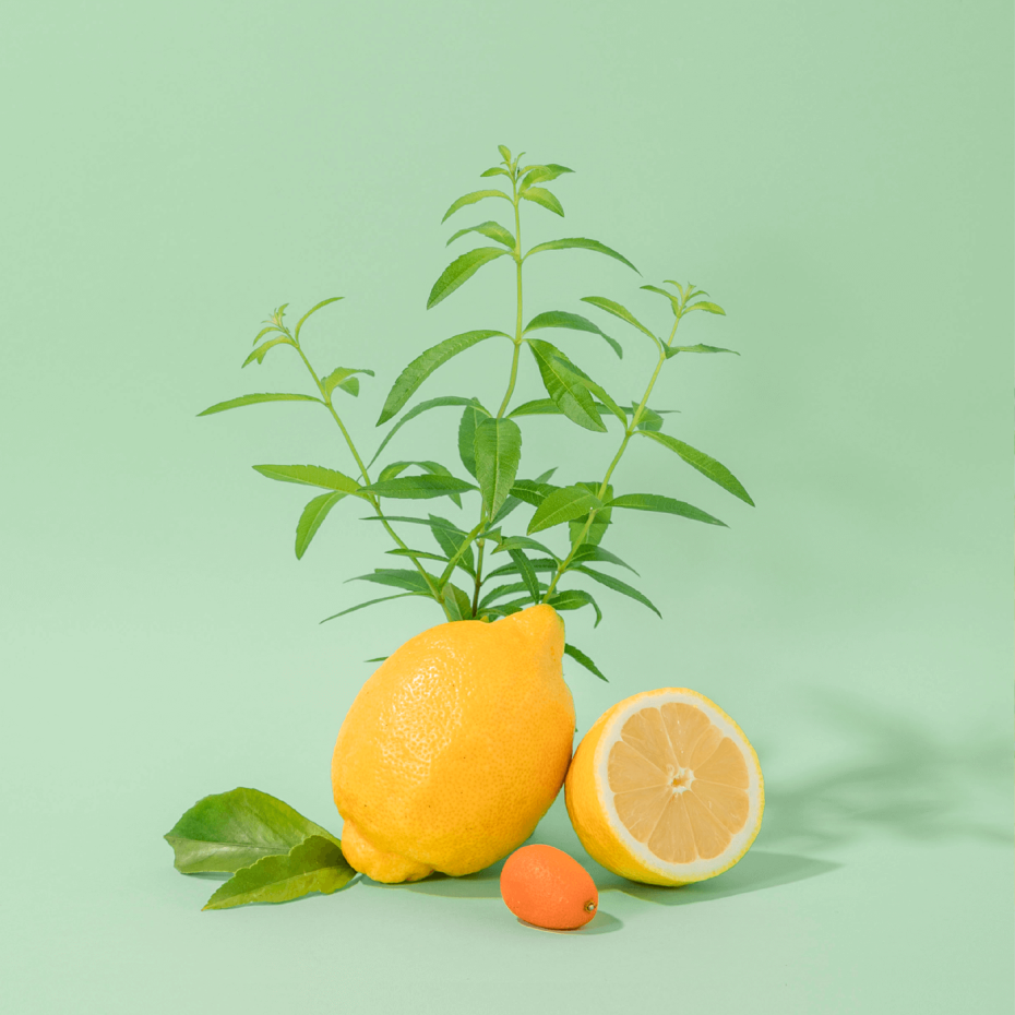 Compagnie De Provence Crème Mains 100ml Verveine Fraîche - Compagnie De Provence