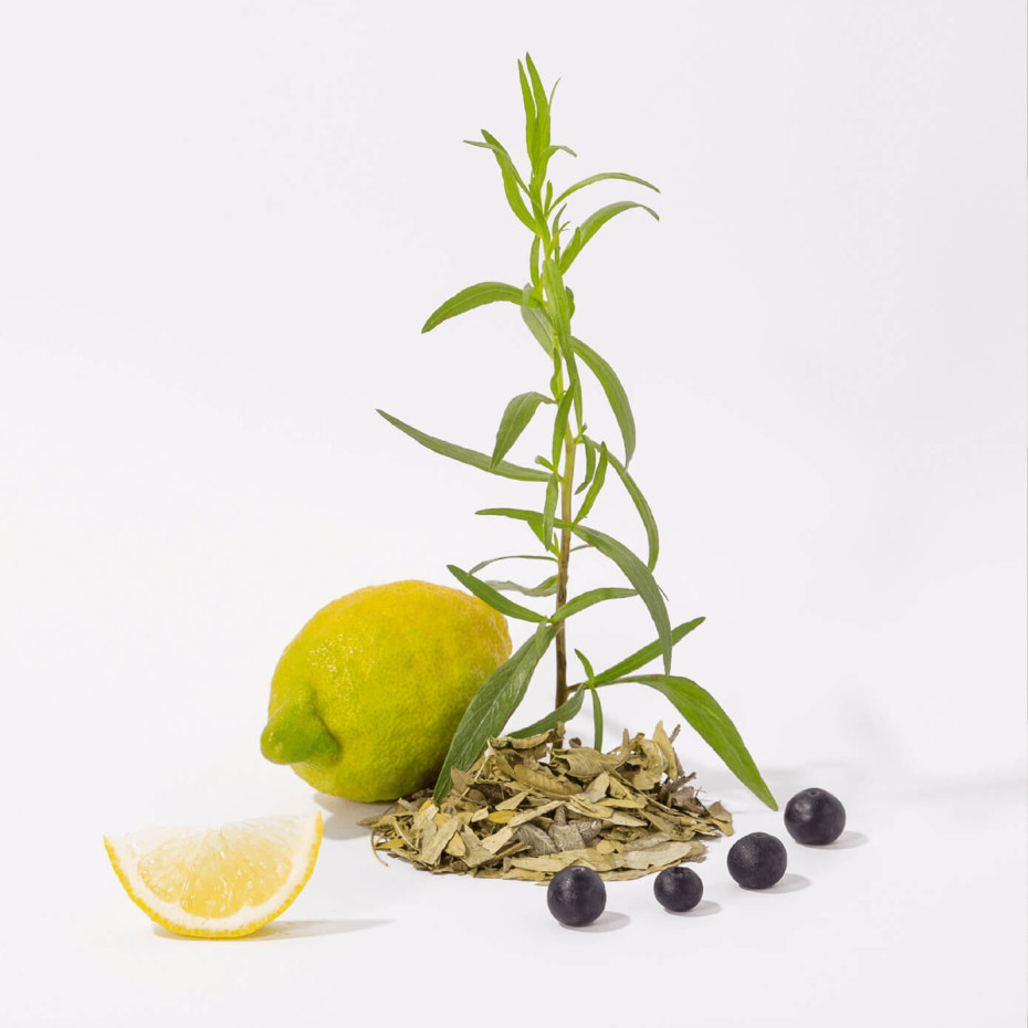 Compagnie De Provence Crème Mains 300ml Thé Blanc - Compagnie De Provence