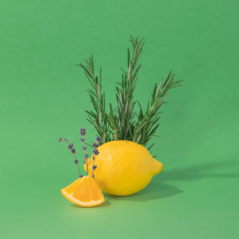 Compagnie De Provence Crème Mains & Corps Romarin Vitaminé - Compagnie De Provence