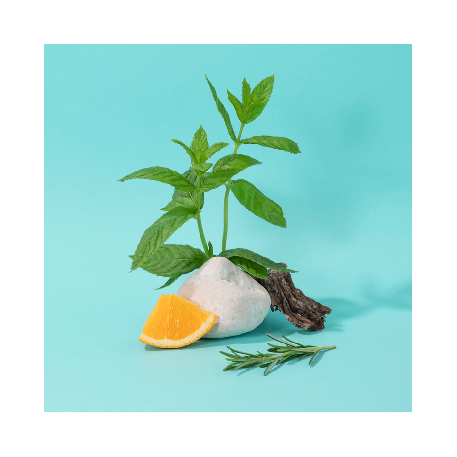 Compagnie De Provence Diffuseur De Parfum Énergisant Menthe Basilic - Compagnie De Provence