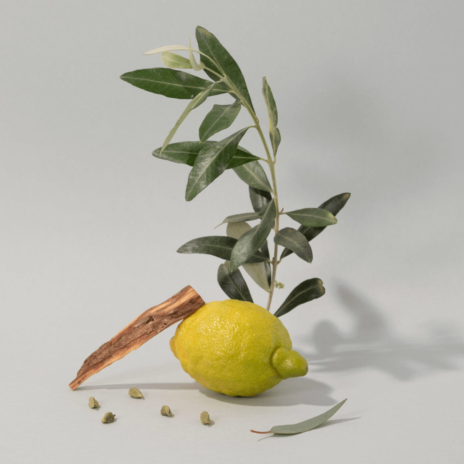 Compagnie De Provence Recharge Savon Liquide 1L Bois D'Olivier - Compagnie De Provence