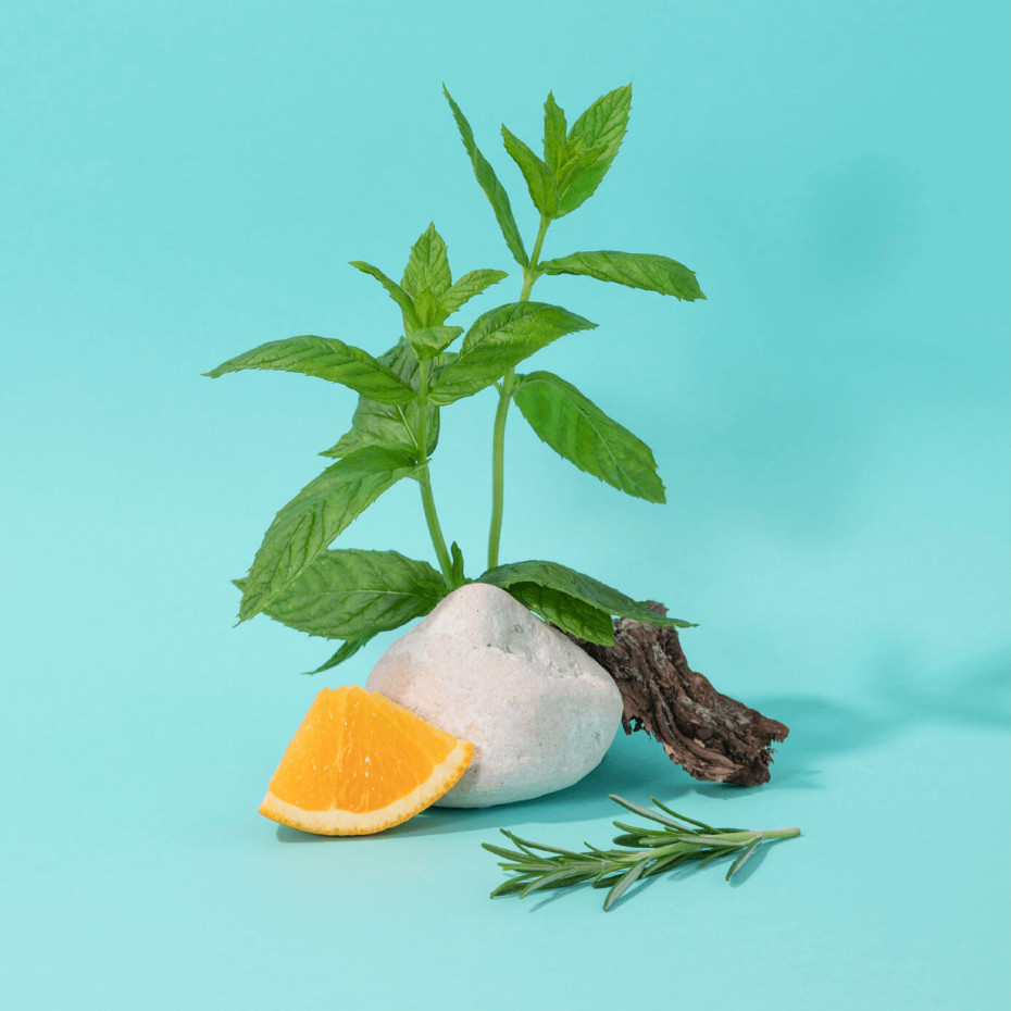 Compagnie De Provence Recharge Savon Liquide Menthe Basilic - Compagnie De Provence