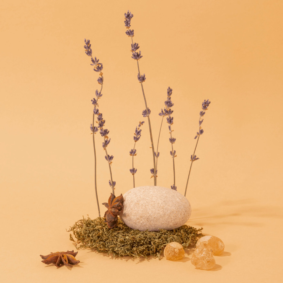 Compagnie De Provence Recharge Savon Liquide Relaxant Anis Lavande - Compagnie De Provence