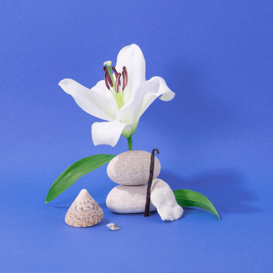 Compagnie De Provence Savon Liquide De Marseille 495ml Méditerranée - Compagnie De Provence