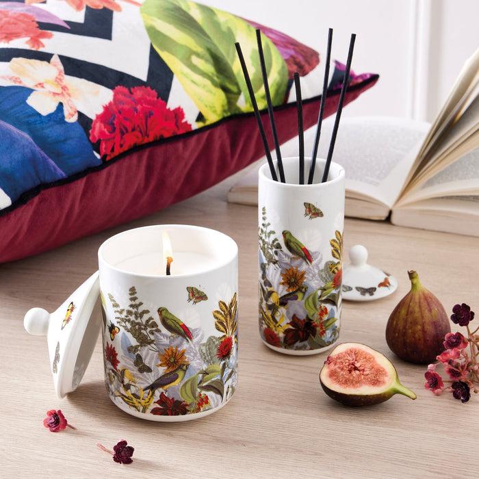 Cxl By Christian Lacroix Diffuseur En Porcelaine - Jardin D'hiver - Figuier - 100 Ml
