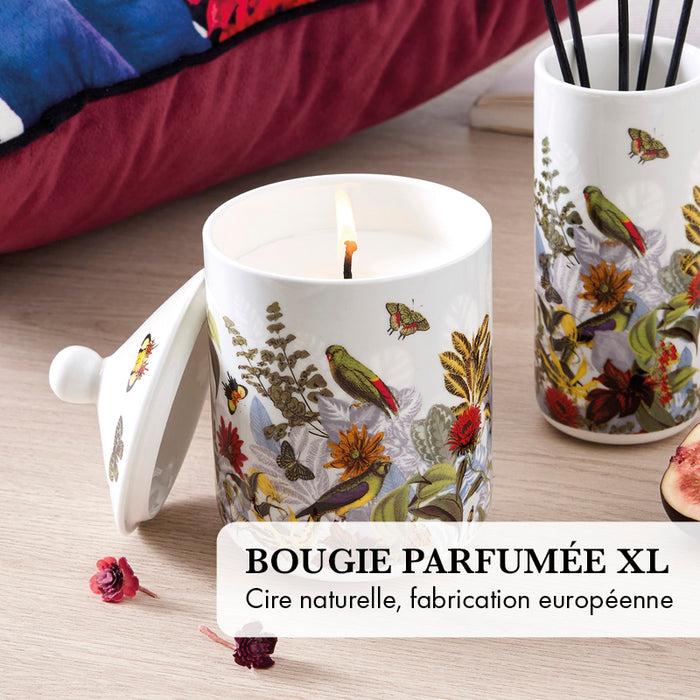 Cxl By Christian Lacroix Pack Soirée Douillette - Marron Foncé